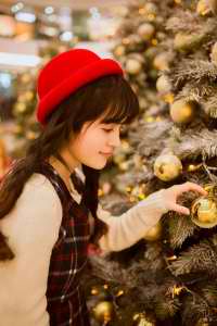 短剧空姐流浪在线观看