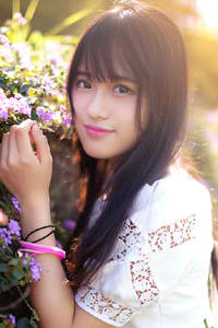 放全集小猫咪照片